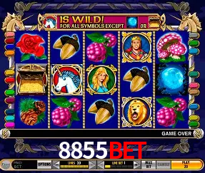 A Experiência Imersiva dos Cassinos Ao Vivo no 8855bet