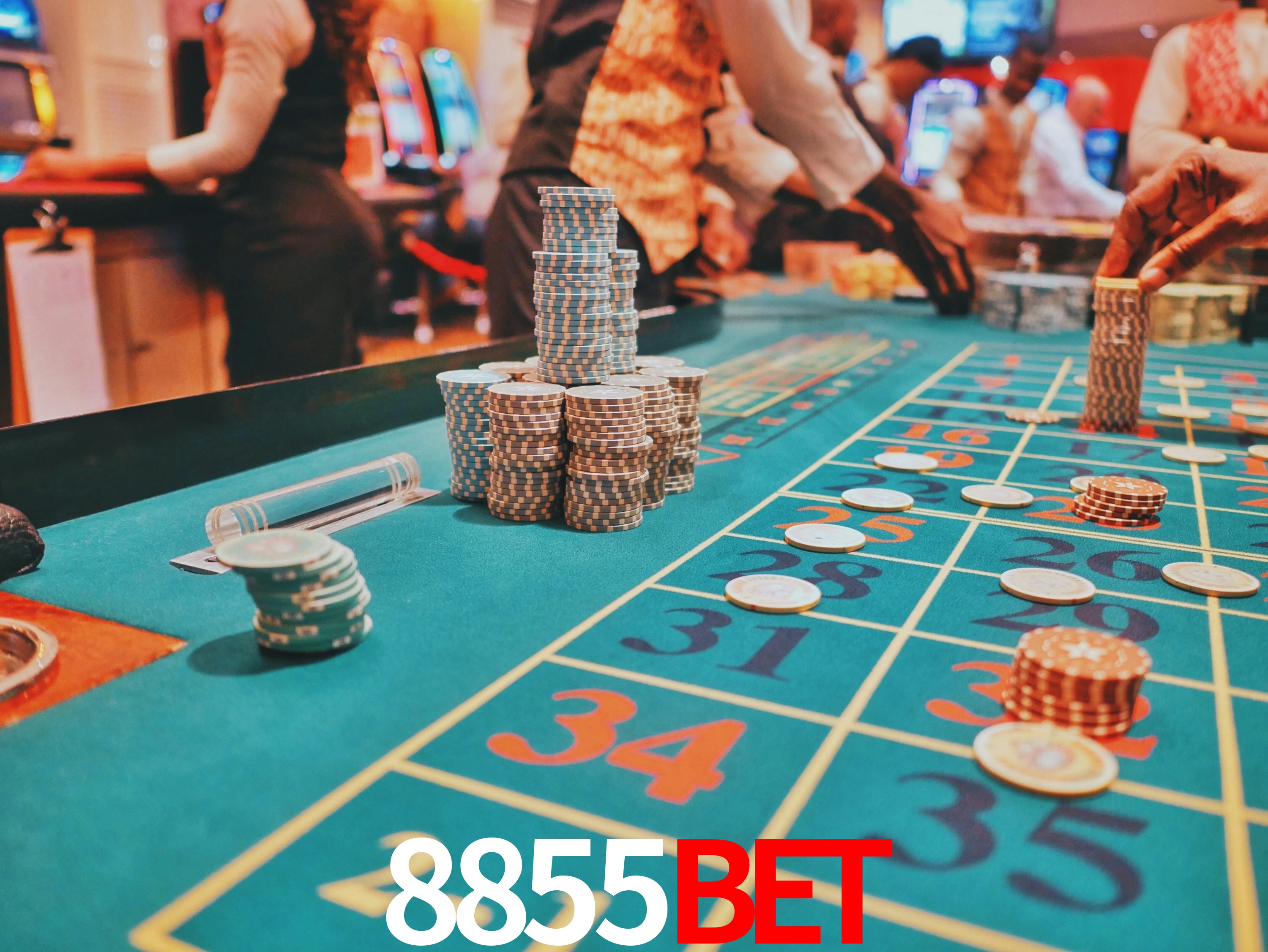 Estatísticas Esportivas 8855bet