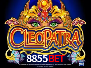 Descubra o Mundo do Cassino Online com 8855bet